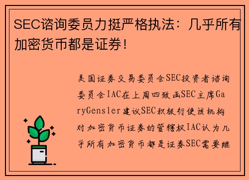 SEC谘询委员力挺严格执法：几乎所有加密货币都是证券！